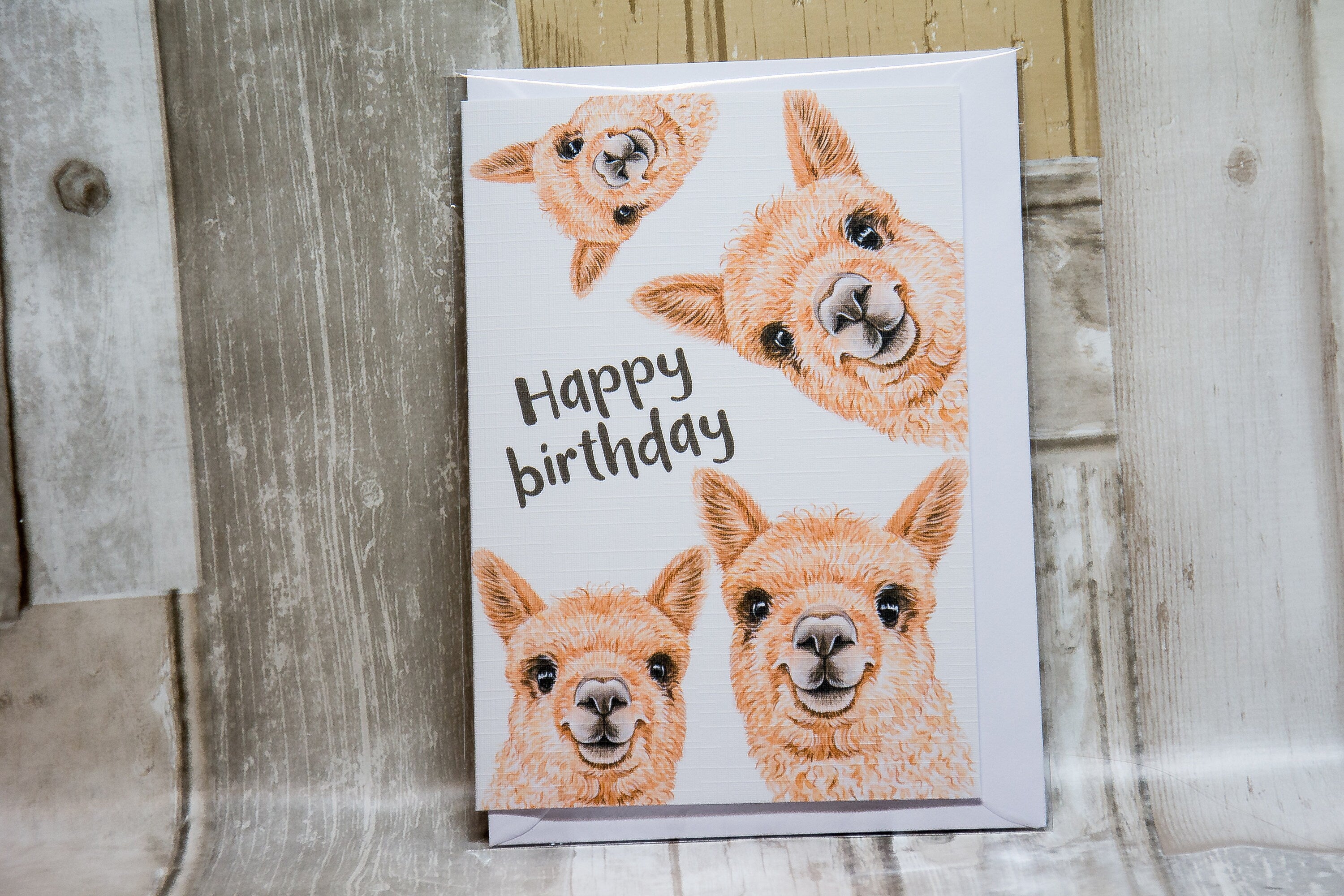 Alpaca birthday card